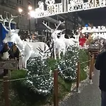 Castro Castrino Camino De Santiago Apartament *