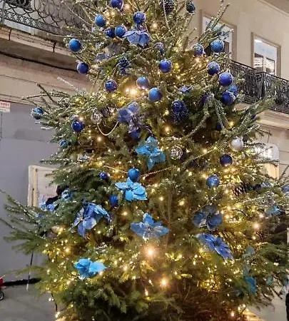 Apartamento Castro Castriño Camino De Santiago