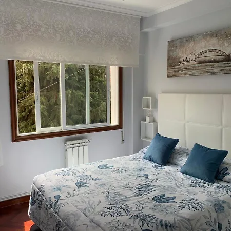 Castro Castrino Camino De Santiago * Vigo