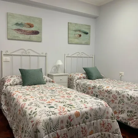 Castro Castriño Camino De Santiago Apartamento