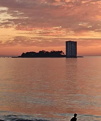 Castro Castrino Camino De Santiago Vigo