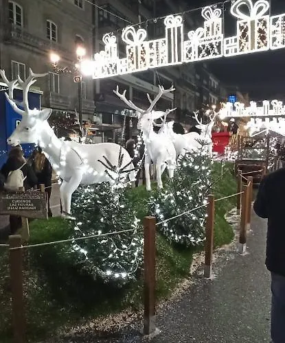 Castro Castrino Camino De Santiago Apartmán *